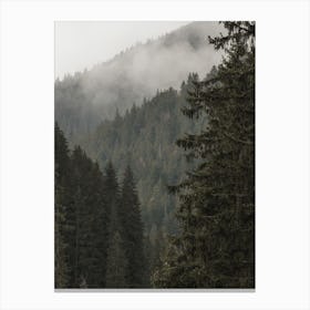 Forest Scenery Canvas Print