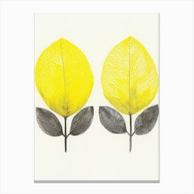 Lemon Leaves 1 Canvas Print