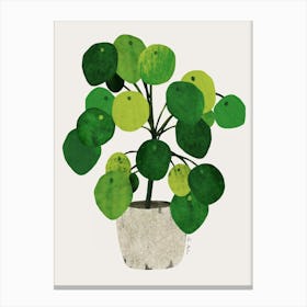 Pilea plant Canvas Print