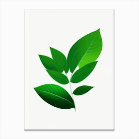 Stevia Leaf Vibrant Inspired 2 Canvas Print