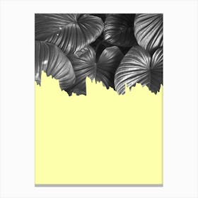 Botanical art 2 Canvas Print