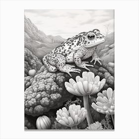 Desert Wave Toad 1 Canvas Print