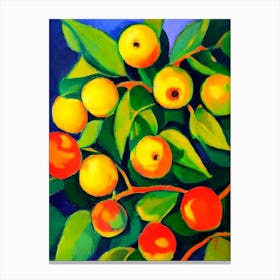 Ackee Fruit Vibrant Matisse Inspired Painting Fruit Canvas Print
