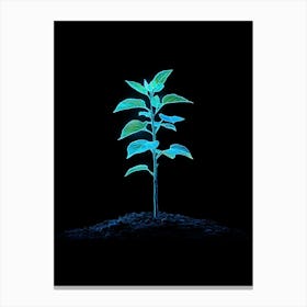 Plant Growing On Black Background 4 Canvas Print