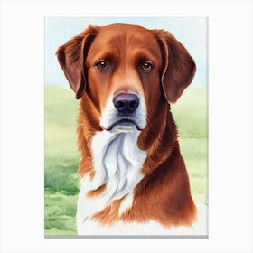 Chesapeake Bay Retriever Watercolour dog Canvas Print