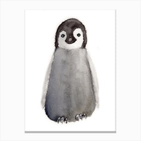 Baby Penguin Canvas Print