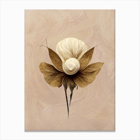 'Coconut Flower' Canvas Print