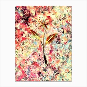 Impressionist Erythronium Botanical Painting in Blush Pink and Gold n.0003 Canvas Print