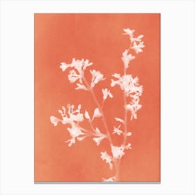 Monograph Orange Canvas Print