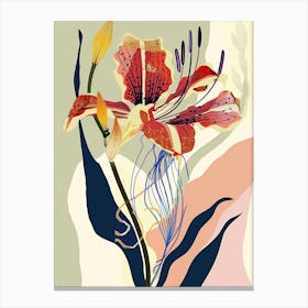 Colourful Flower Illustration Gloriosa Lily 3 Canvas Print