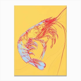 Shrimp Canvas Print Canvas Print