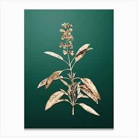 Gold Botanical Sage Plant on Dark Spring Green n.4262 Canvas Print