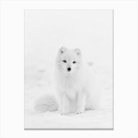White Arctic Fox Canvas Print