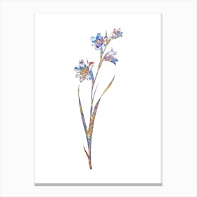 Stained Glass Painted Lady Mosaic Botanical Illustration on White n.0029 Canvas Print