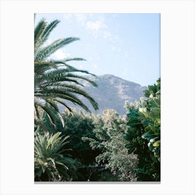 Palm Trees with a view, Tenerife, Canary Islands Canvas Print