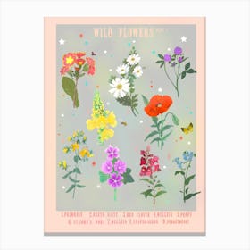 Handdrawn Wild Flowers Plate 2 Light Canvas Print