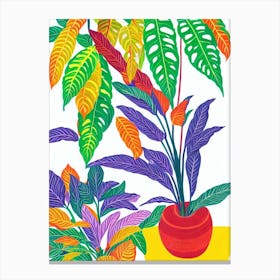 Croton Eclectic Boho Plant Canvas Print