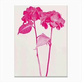 Hot Pink Hydrangea 1 Canvas Print