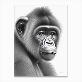 Baby Gorilla Gorillas Greyscale Sketch 3 Canvas Print