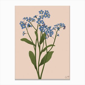Flower Forget Me Not Canvas Print
