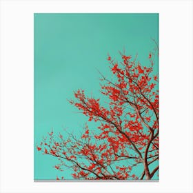 Red Tree Against Blue Sky 5 Canvas Print