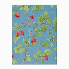 Raspberry Vintage Botanical Fruit Canvas Print