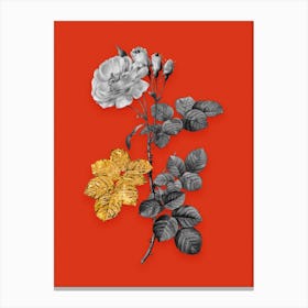 Vintage Damask Rose Black and White Gold Leaf Floral Art on Tomato Red n.0837 Canvas Print