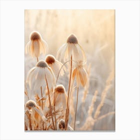 Boho Dried Flowers Black Eyed Susan 2 Canvas Print