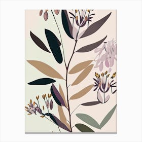 Showy Milkweed Wildflower Modern Muted Colours 2 Canvas Print