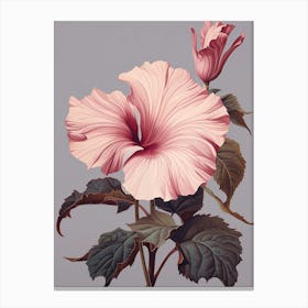 Floral Illustration Hibiscus 2 Canvas Print