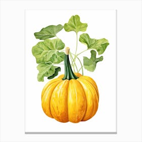 Delicata Squash Pumpkin Watercolour Illustration 3 Canvas Print