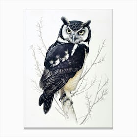 Spectacled Owl Drawing 4 Canvas Print
