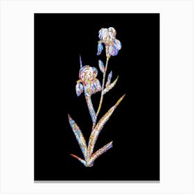 Stained Glass Elder Scented Iris Mosaic Botanical Illustration on Black n.0207 Canvas Print