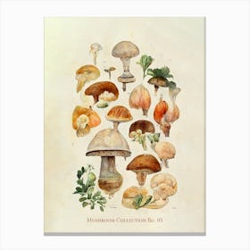 Mushroom Collection 03 Canvas Print