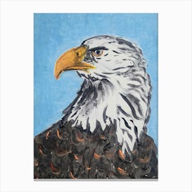 Bald Eagle Canvas Print