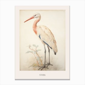 Vintage Bird Drawing Stork 1 Poster Canvas Print