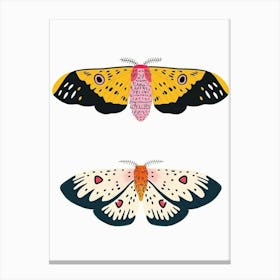 Colourful Insect Illustration Moth 4 Canvas Print