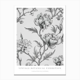 Peacock Flower (Caesalpinia Pulcherrima) B&W Vintage Botanical Poster Canvas Print