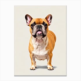 French Bulldog Illustration dog Canvas Print