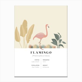 Flamingo - Jungle Fact Canvas Print