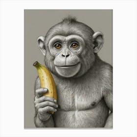 Monkey With Banana 1 Canvas Print