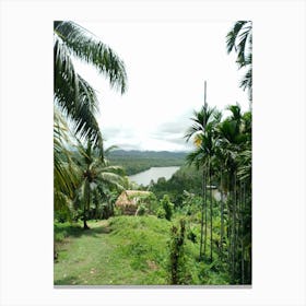 View Of A Tropical Forest Canvas Print