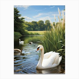 Closeup Of A White Swan On A Tranquil Duck Pond Amidst A Scenic River Bank Feather Details In The F (1) Canvas Print