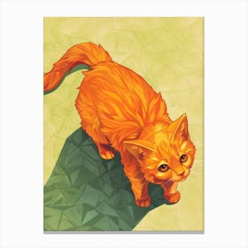 Orange Cat 14 Canvas Print