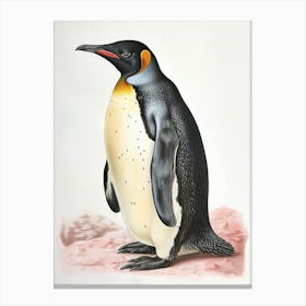 Adlie Penguin Livingston Island Vintage Botanical Painting 4 Canvas Print