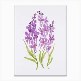 Lilac Orchids Canvas Print