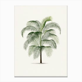 Vintage Palm Tree Canvas Print