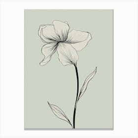 Daffodils Line Art Flowers Illustration Neutral 8 Canvas Print