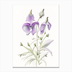 Bellflower Floral Quentin Blake Inspired Illustration 2 Flower Canvas Print