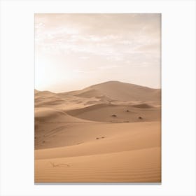 Sand Dunes Canvas Print